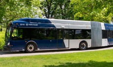 Articulated bus